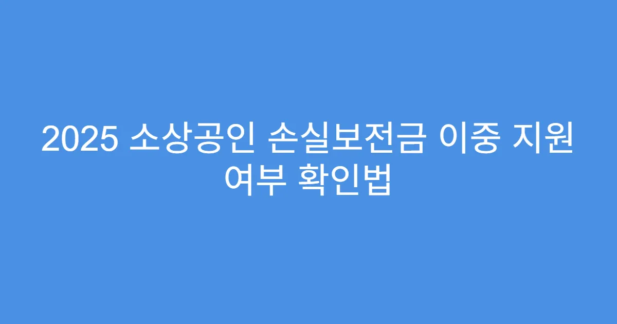 2025 소상공인 손실보전금 이중 지원 여부 확인법 2025 소상공인 손실보전금 이중 지원 여부 확인법