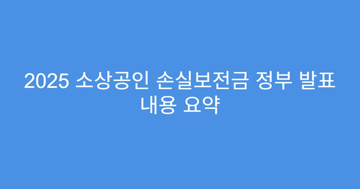 2025 소상공인 손실보전금 정부 발표 내용 요약