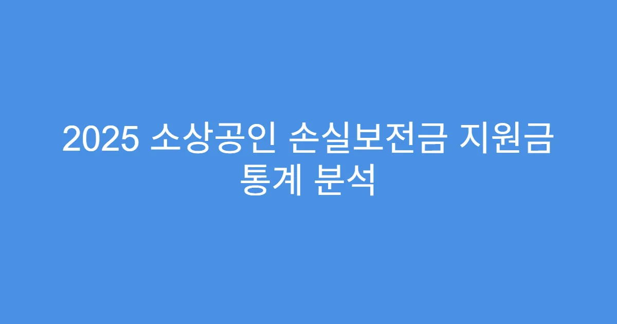 2025 소상공인 손실보전금 지원금 통계 분석