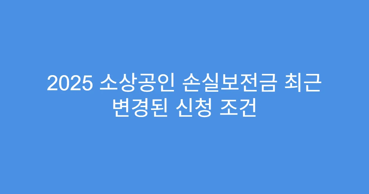 2025 소상공인 손실보전금 최근 변경된 신청 조건