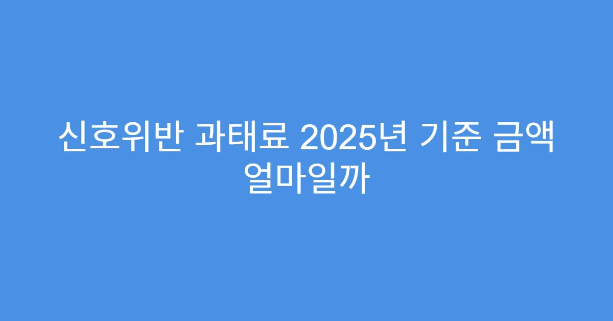신호위반 과태료 2025년 기준 금액 얼마일까