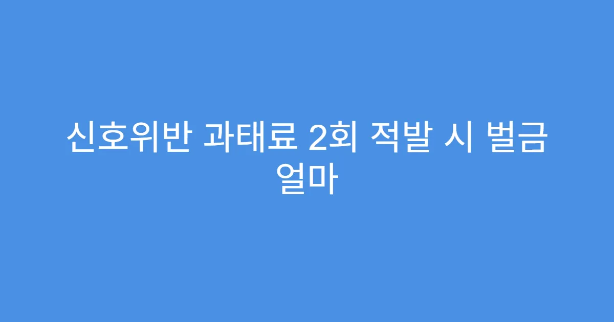 신호위반 과태료 2회 적발 시 벌금 얼마
