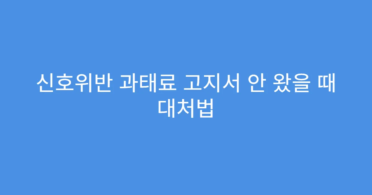 신호위반 과태료 고지서 안 왔을 때 대처법