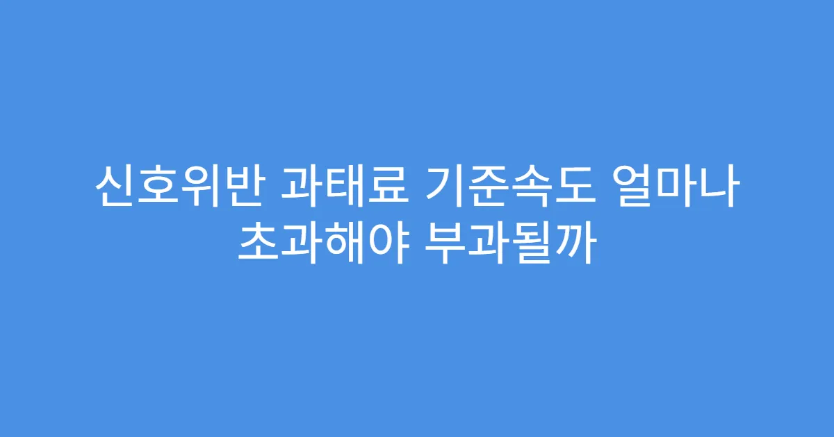 신호위반 과태료 기준속도 얼마나 초과해야 부과될까