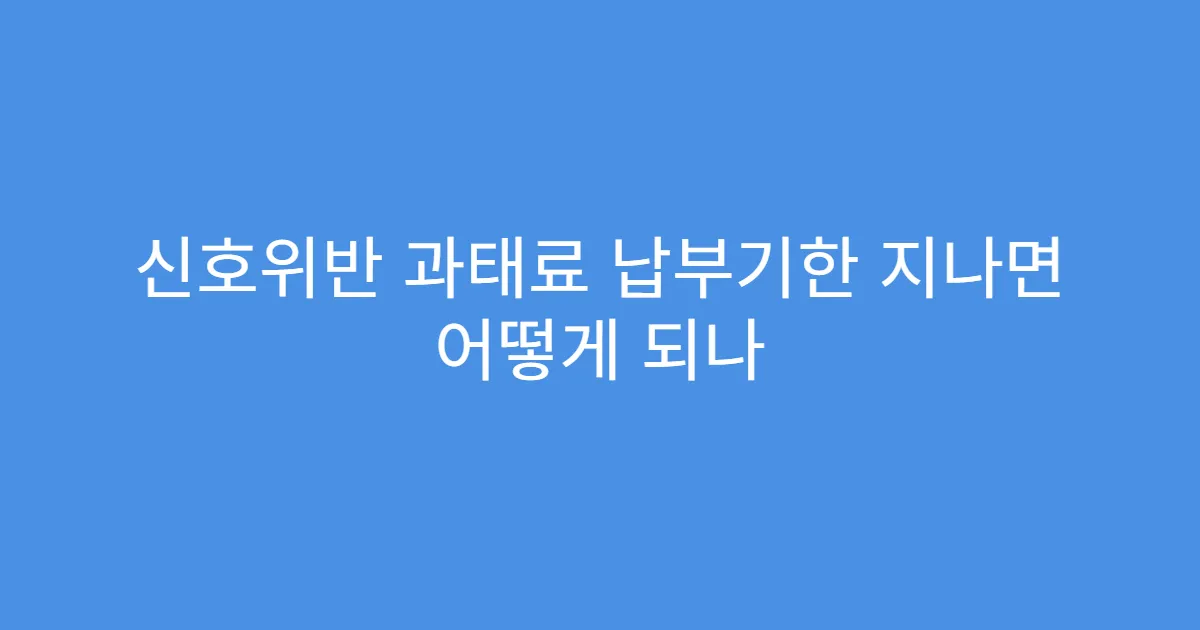 신호위반 과태료 납부기한 지나면 어떻게 되나