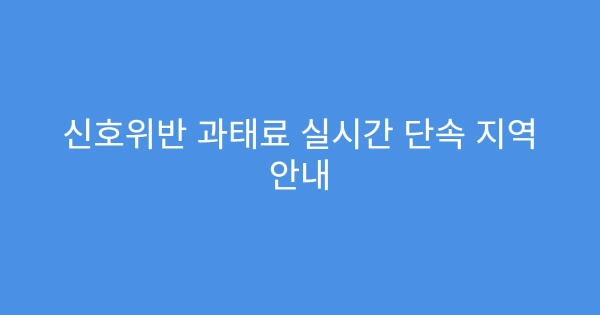 신호위반 과태료 실시간 단속 지역 안내
