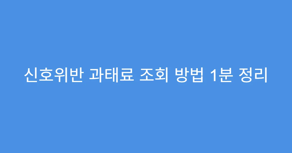 신호위반 과태료 조회 방법 1분 정리