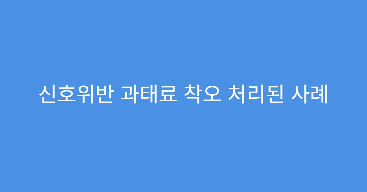 신호위반 과태료 착오 처리된 사례