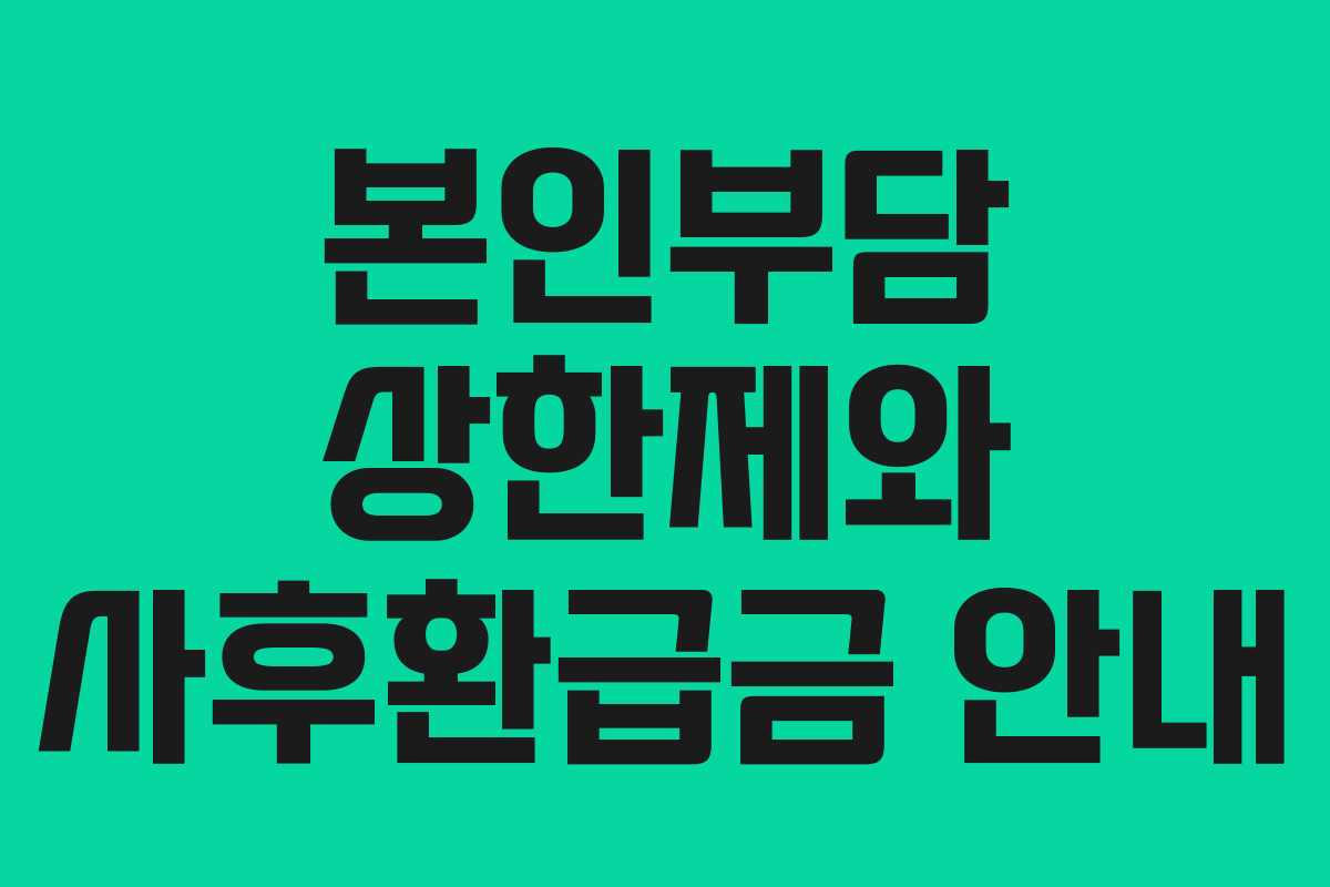 본인부담 상한제와 사후환급금 안내 본인부담 상한제와 사후환급금 안내
