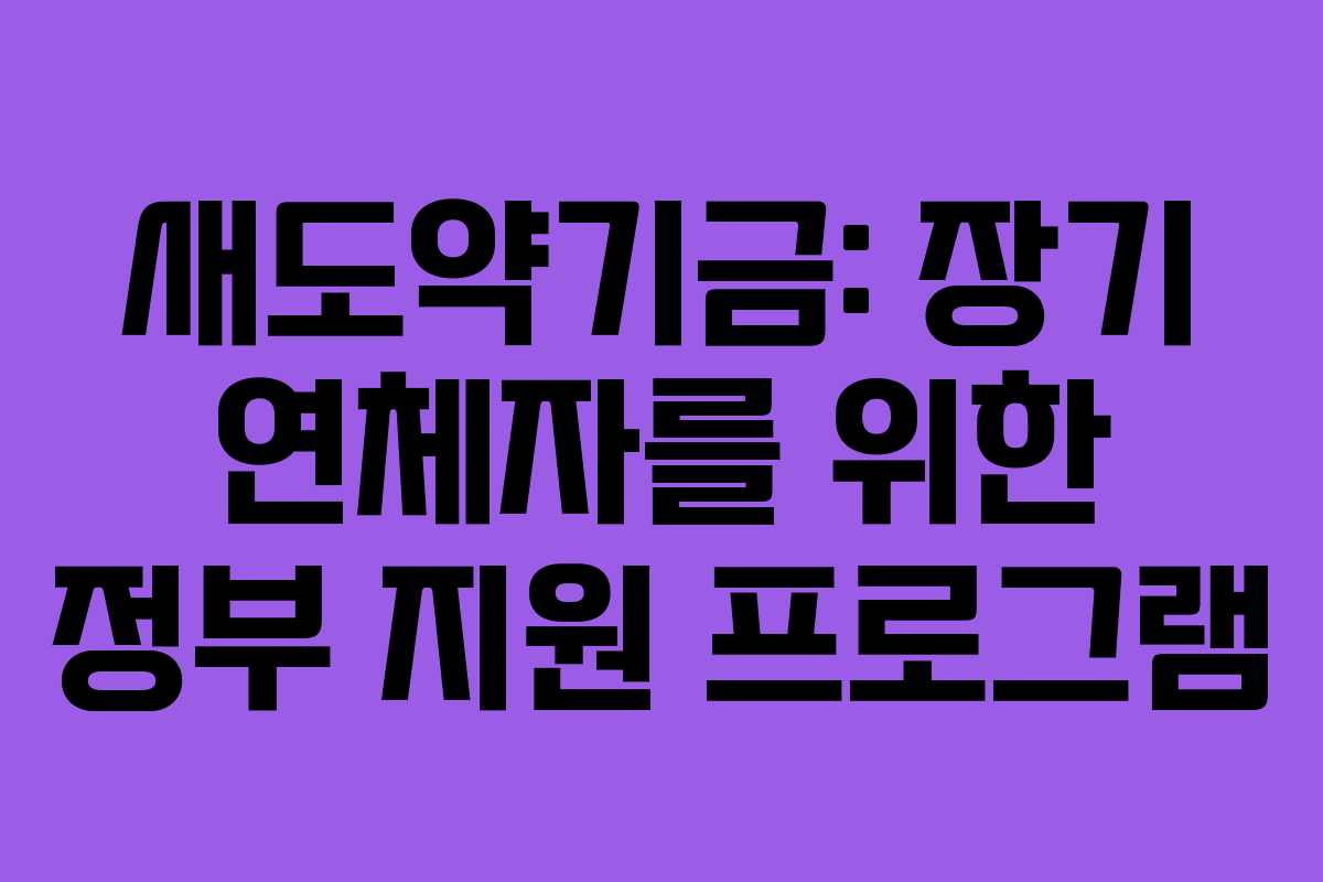 새도약기금: 장기 연체자를 위한 정부 지원 프로그램