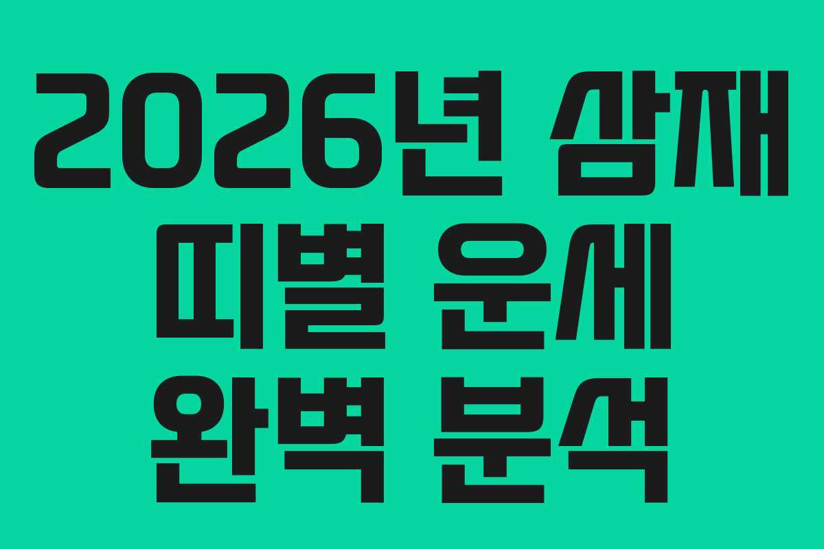 2026년 삼재 띠별 운세 완벽 분석 2026년 삼재 띠별 운세 완벽 분석
