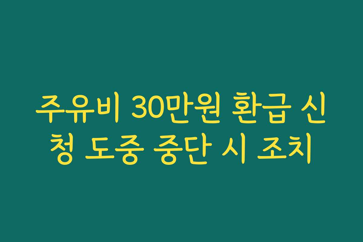 주유비 30만원 환급 신청 도중 중단 시 조치