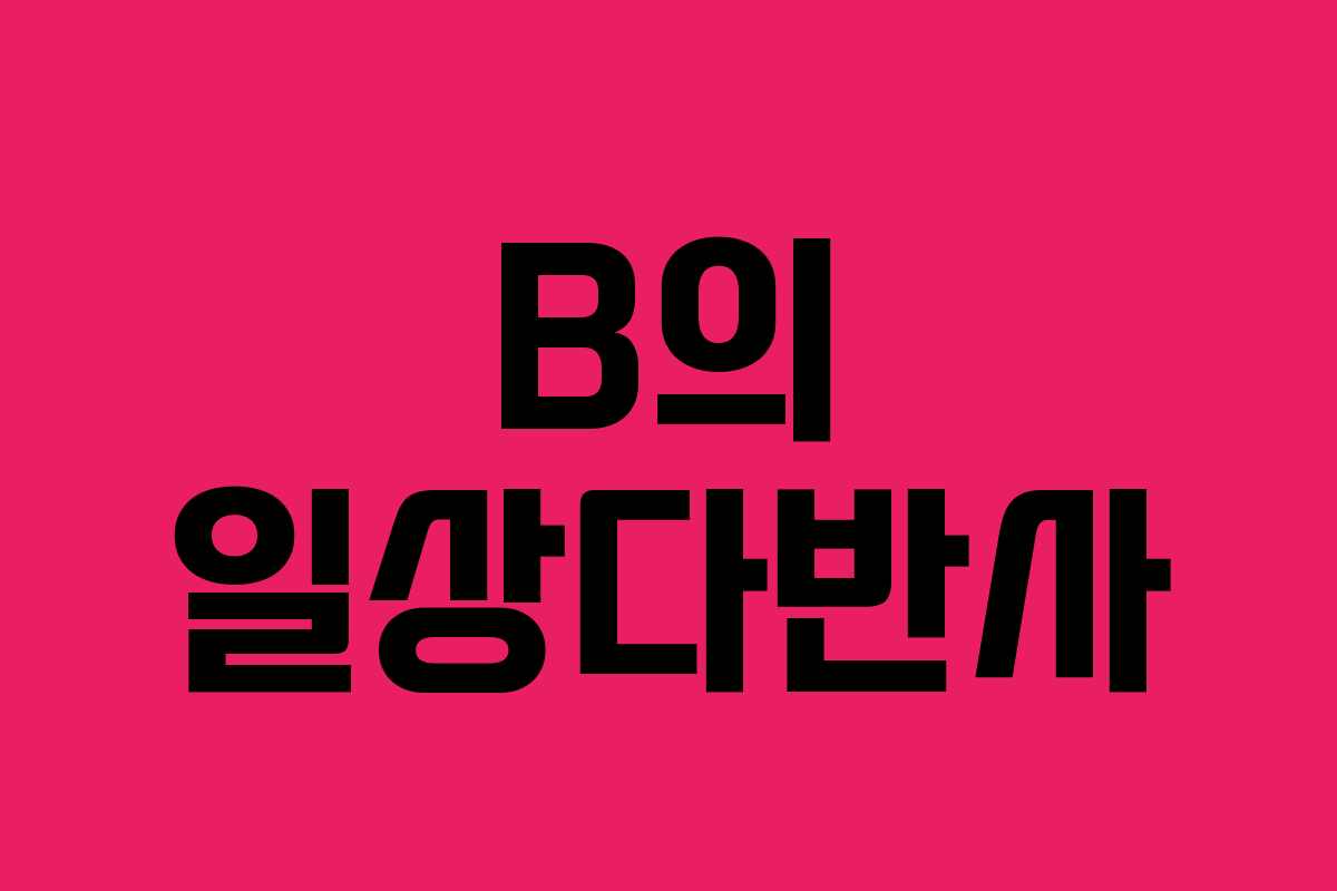 B의 일상다반사 B의 일상다반사