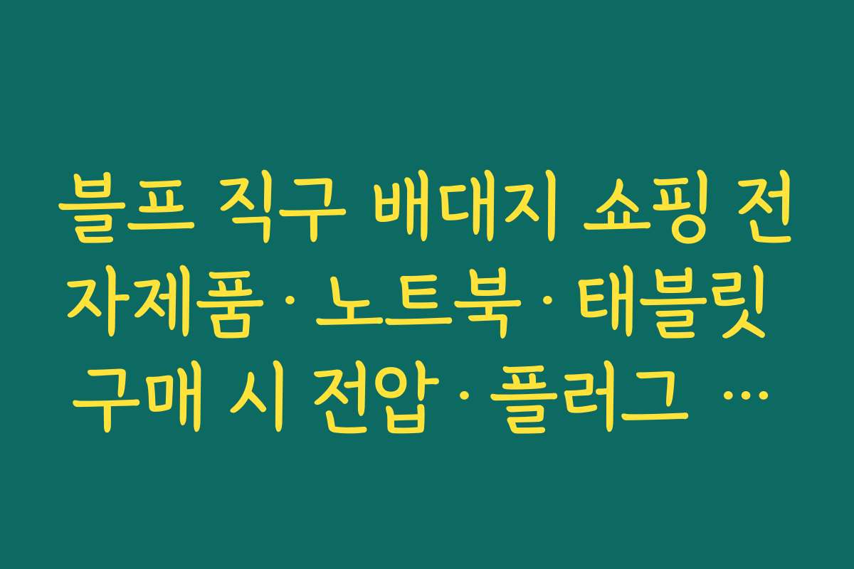 블프 직구 배대지 쇼핑 전자제품·노트북·태블릿 구매 시 전압·플러그 규격 확인 체크리스트