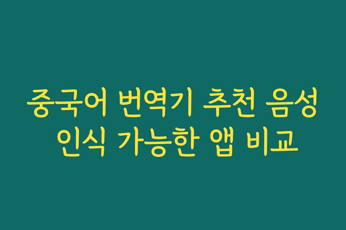 중국어 번역기 추천 음성 인식 가능한 앱 비교