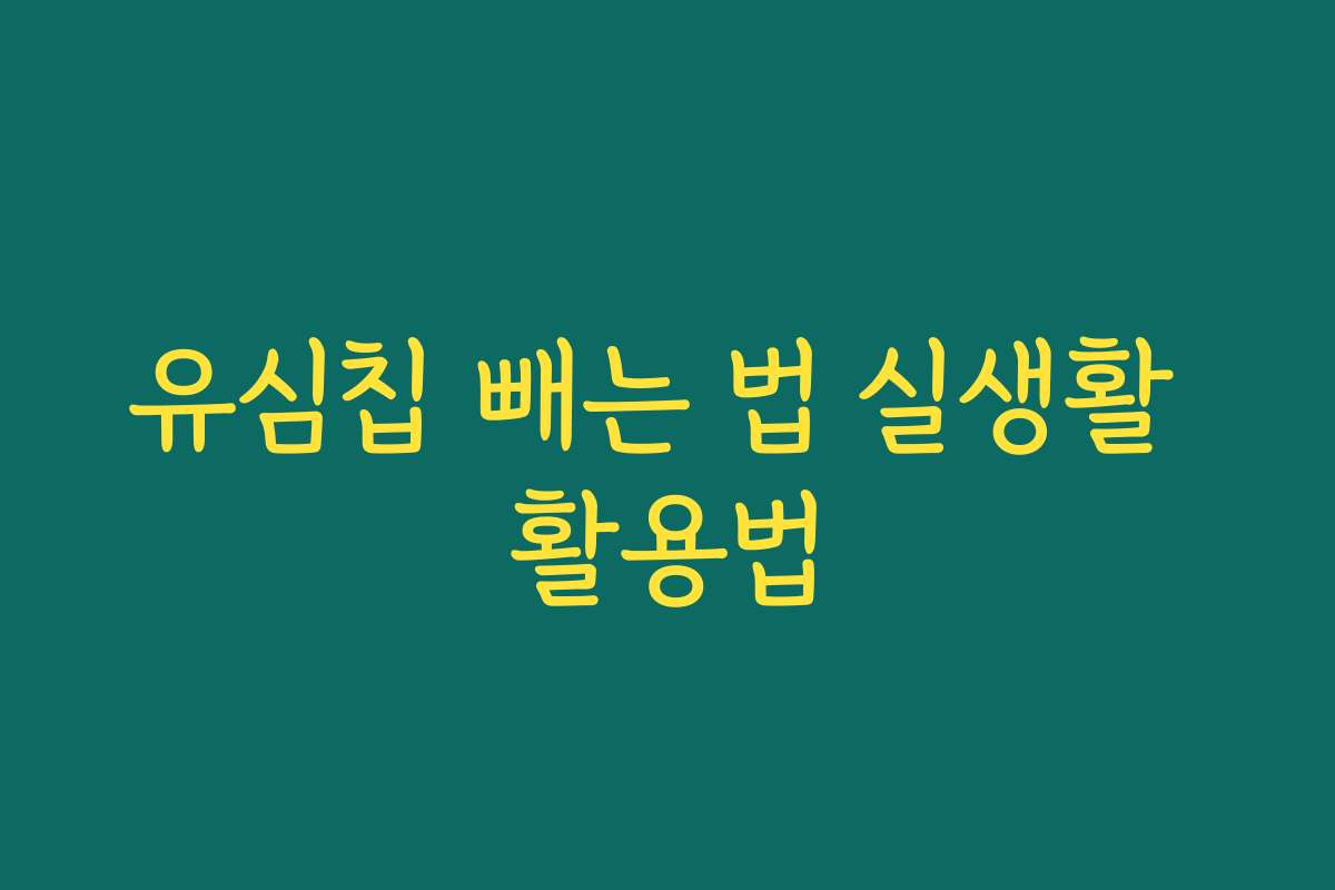 유심칩 빼는 법 실생활 활용법