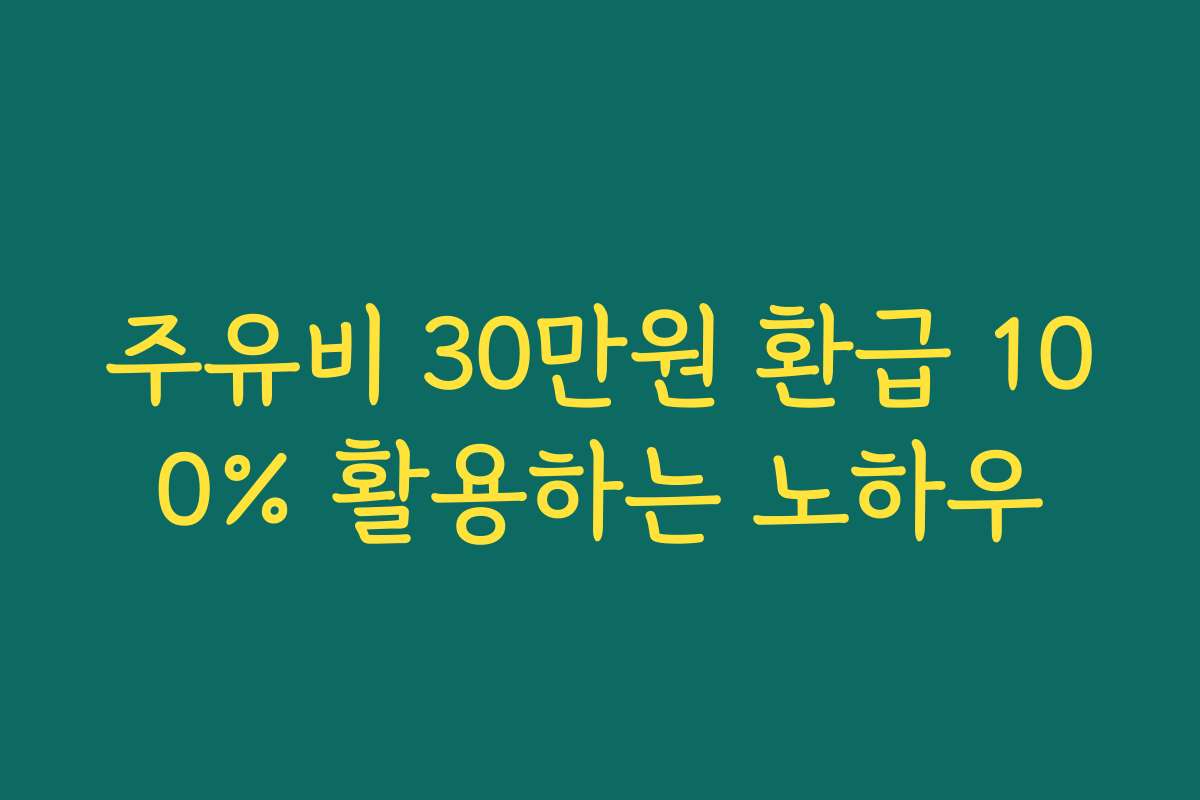 주유비 30만원 환급 100% 활용하는 노하우