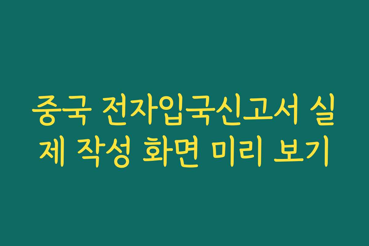 중국 전자입국신고서 실제 작성 화면 미리 보기 중국 전자입국신고서 실제 작성 화면 미리 보기