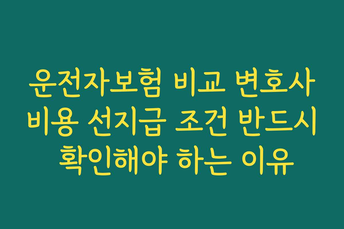운전자보험 비교 변호사비용 선지급 조건 반드시 확인해야 하는 이유