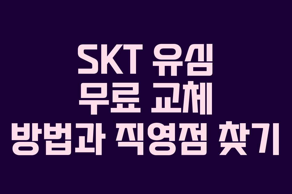 SKT 유심 무료 교체 방법과 직영점 찾기 SKT 유심 무료 교체 방법과 직영점 찾기