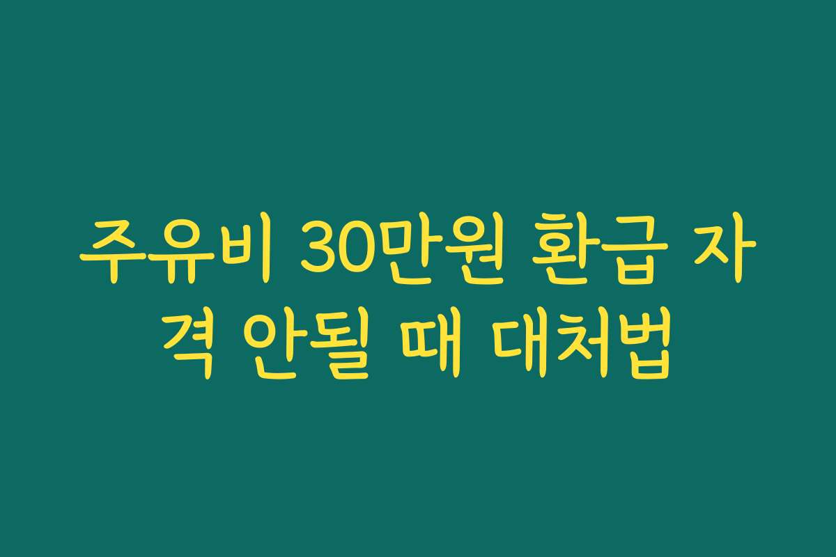 주유비 30만원 환급 자격 안될 때 대처법