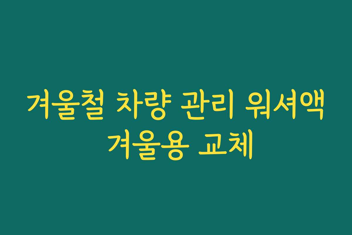 겨울철 차량 관리 워셔액 겨울용 교체