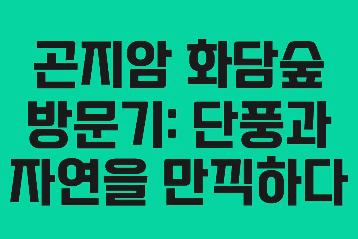 곤지암 화담숲 방문기: 단풍과 자연을 만끽하다 곤지암 화담숲 방문기: 단풍과 자연을 만끽하다