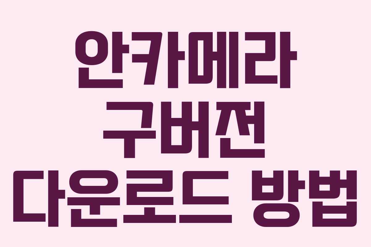 안카메라 구버전 다운로드 방법 안카메라 구버전 다운로드 방법