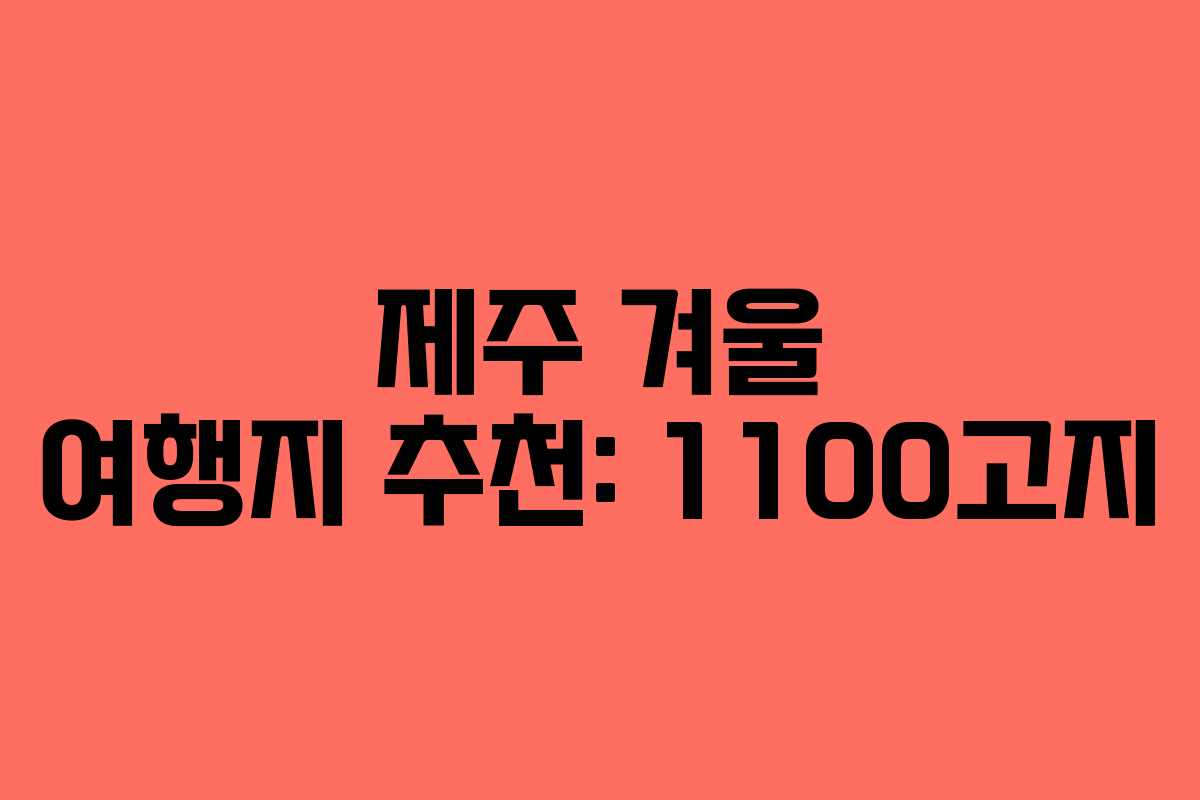 제주 겨울 여행지 추천: 1100고지