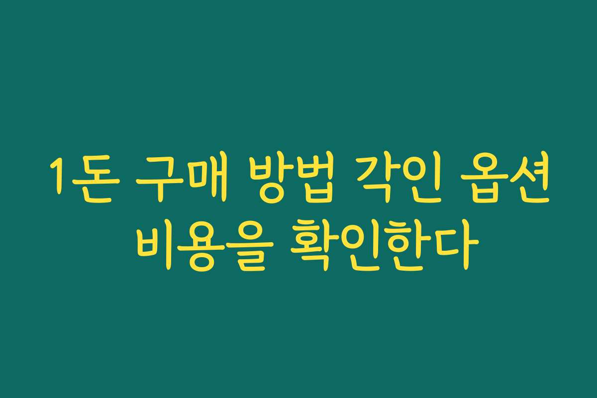 1돈 구매 방법 각인 옵션 비용을 확인한다