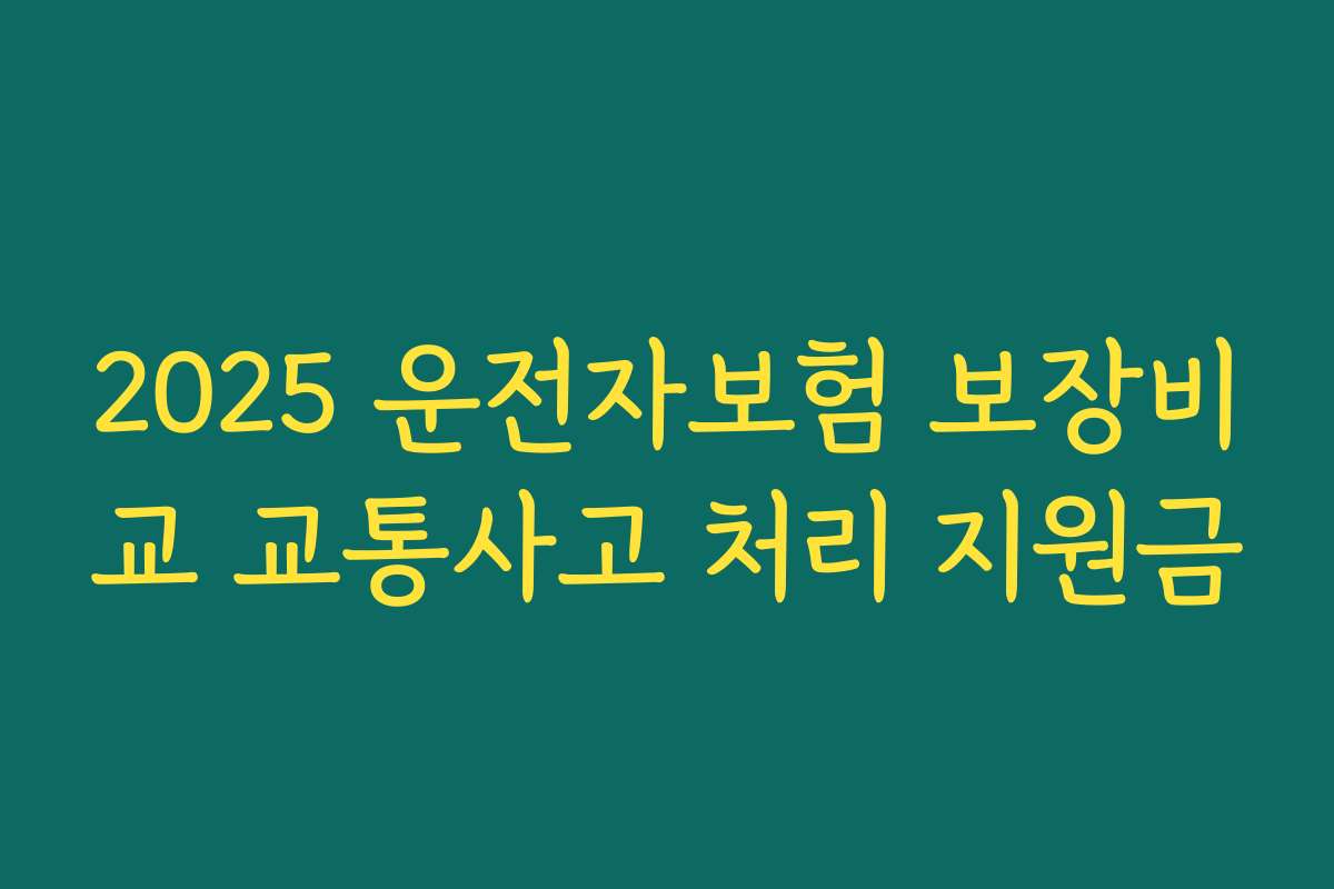 2025 운전자보험 보장비교 교통사고 처리 지원금