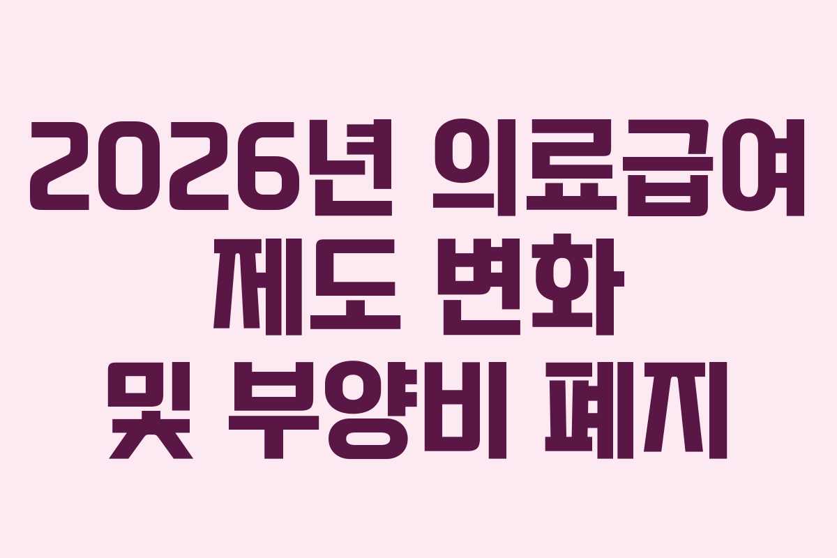 2026년 의료급여 제도 변화 및 부양비 폐지 2026년 의료급여 제도 변화 및 부양비 폐지