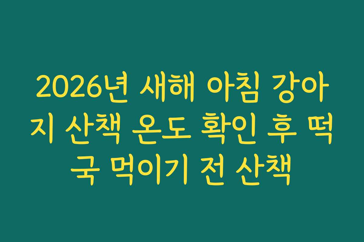 2026년 새해 아침 강아지 산책 온도 확인 후 떡국 먹이기 전 산책