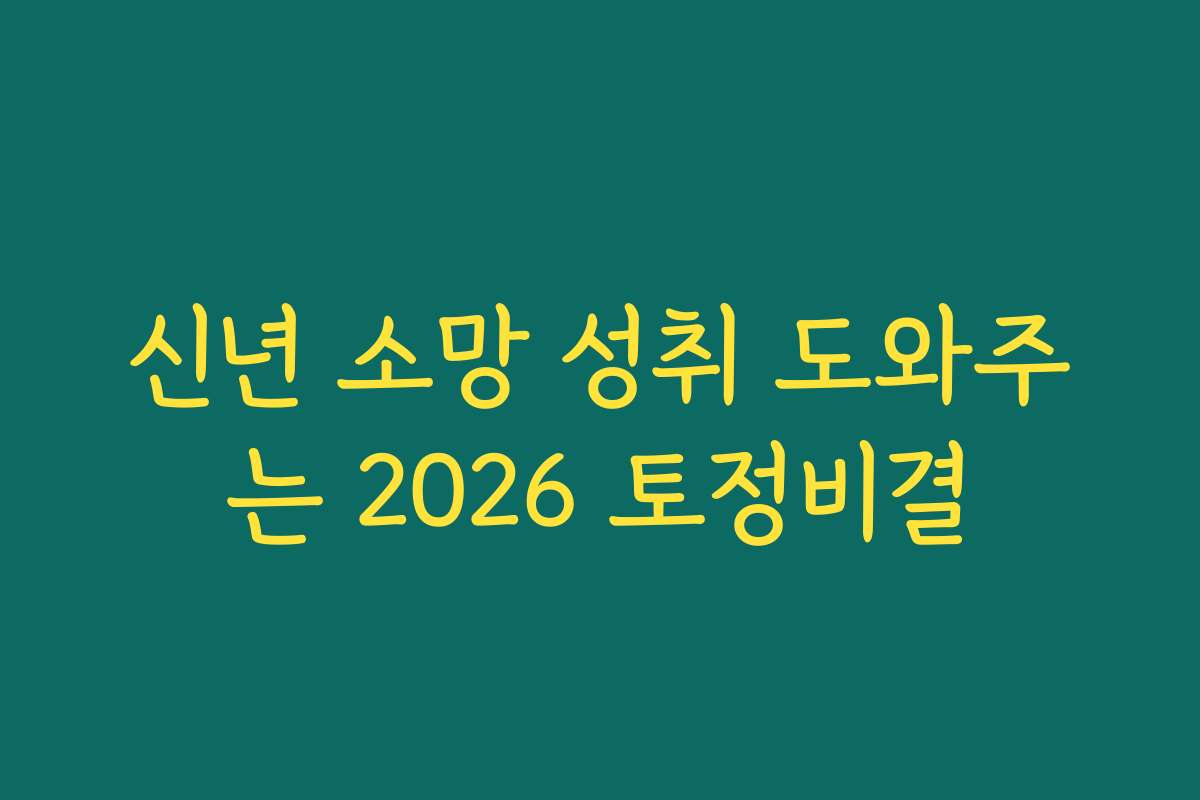 신년 소망 성취 도와주는 2026 토정비결