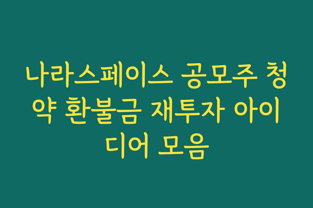 나라스페이스 공모주 청약 환불금 재투자 아이디어 모음 나라스페이스 공모주 청약 환불금 재투자 아이디어 모음