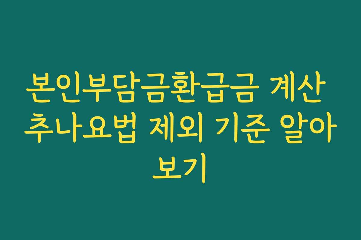본인부담금환급금 계산 추나요법 제외 기준 알아보기