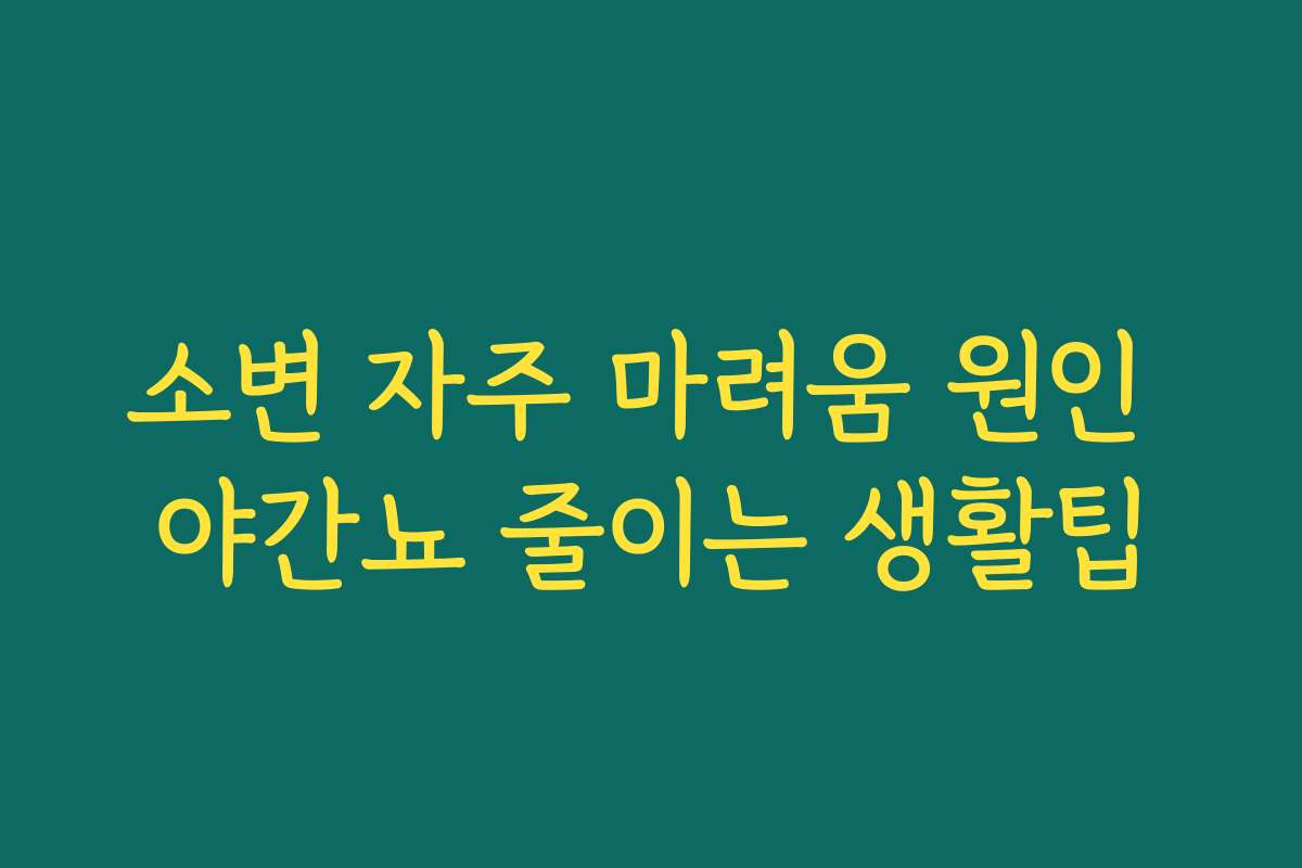 소변 자주 마려움 원인 야간뇨 줄이는 생활팁