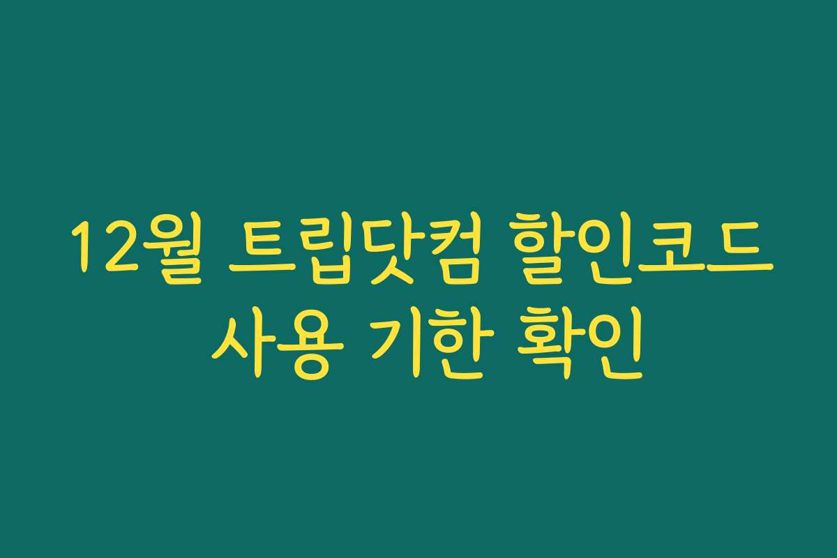 12월 트립닷컴 할인코드 사용 기한 확인