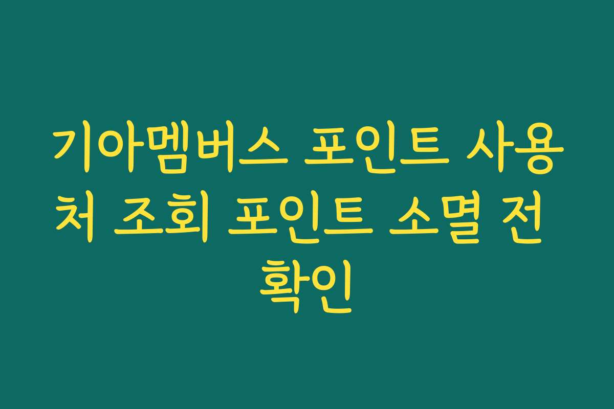 기아멤버스 포인트 사용처 조회 포인트 소멸 전 확인