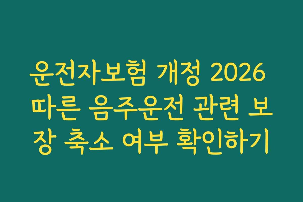 운전자보험 개정 2026 따른 음주운전 관련 보장 축소 여부 확인하기