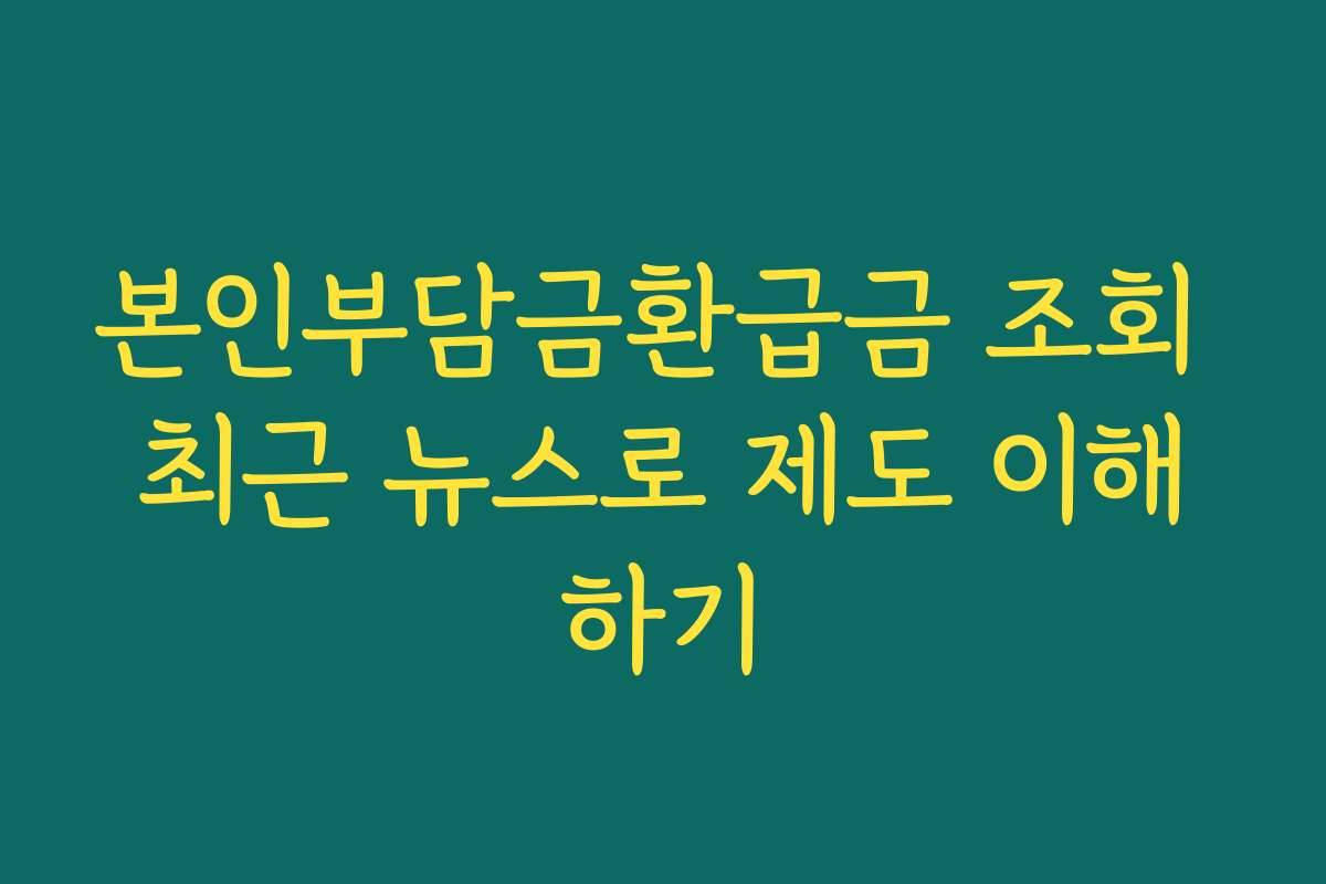 본인부담금환급금 조회 최근 뉴스로 제도 이해하기