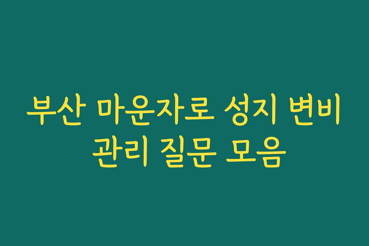 부산 마운자로 성지 변비 관리 질문 모음 부산 마운자로 성지 변비 관리 질문 모음