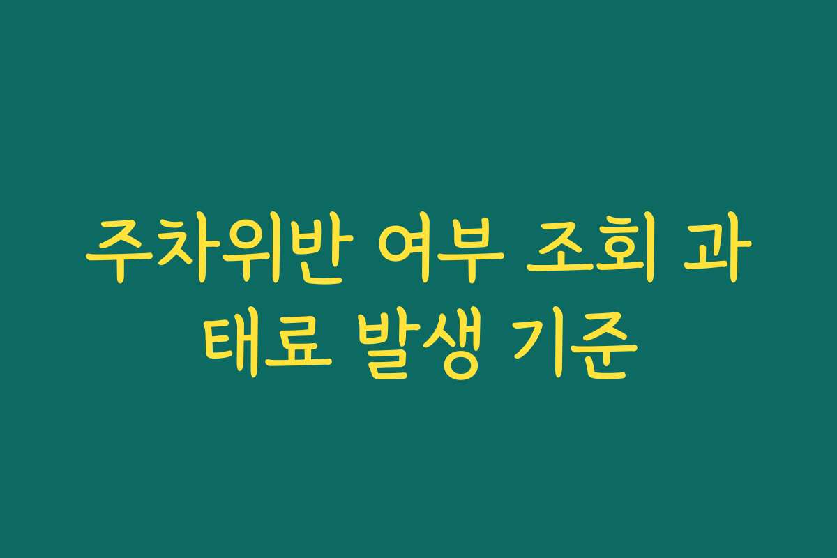 주차위반 여부 조회 과태료 발생 기준 주차위반 여부 조회 과태료 발생 기준