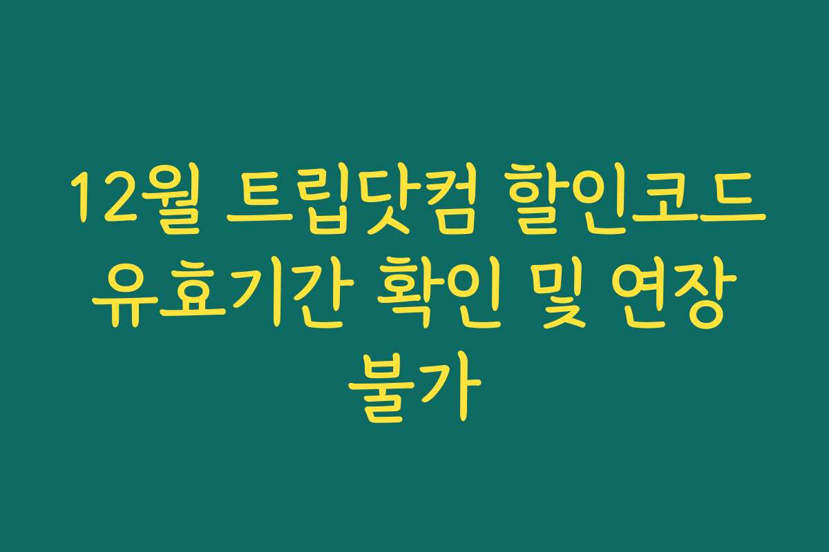 12월 트립닷컴 할인코드 유효기간 확인 및 연장 불가