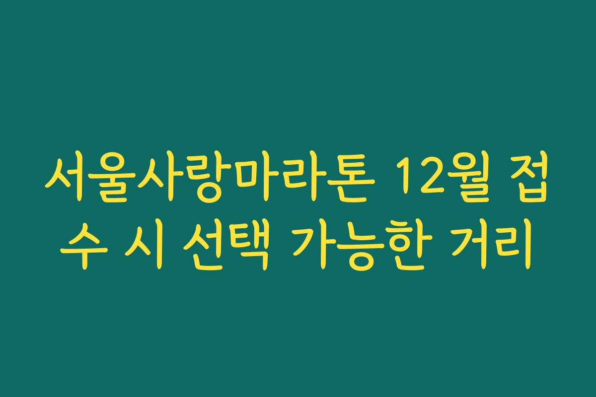 서울사랑마라톤 12월 접수 시 선택 가능한 거리 서울사랑마라톤 12월 접수 시 선택 가능한 거리