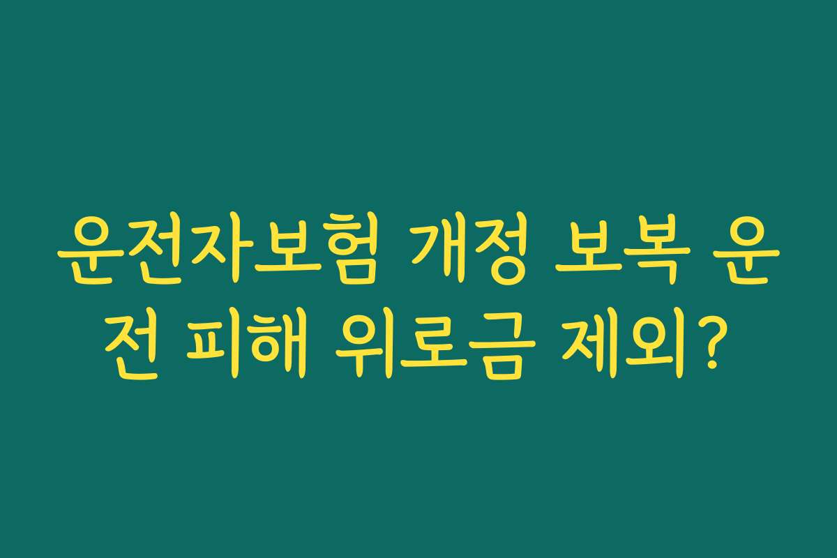 운전자보험 개정 보복 운전 피해 위로금 제외? 운전자보험 개정 보복 운전 피해 위로금 제외?
