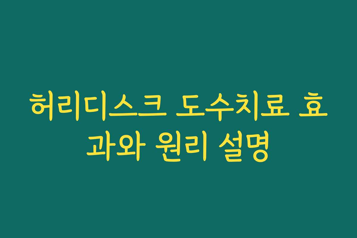 허리디스크 도수치료 효과와 원리 설명 허리디스크 도수치료 효과와 원리 설명