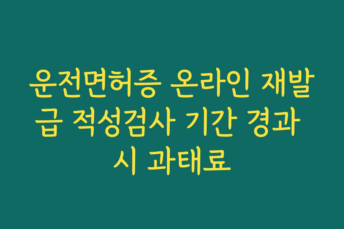 운전면허증 온라인 재발급 적성검사 기간 경과 시 과태료
