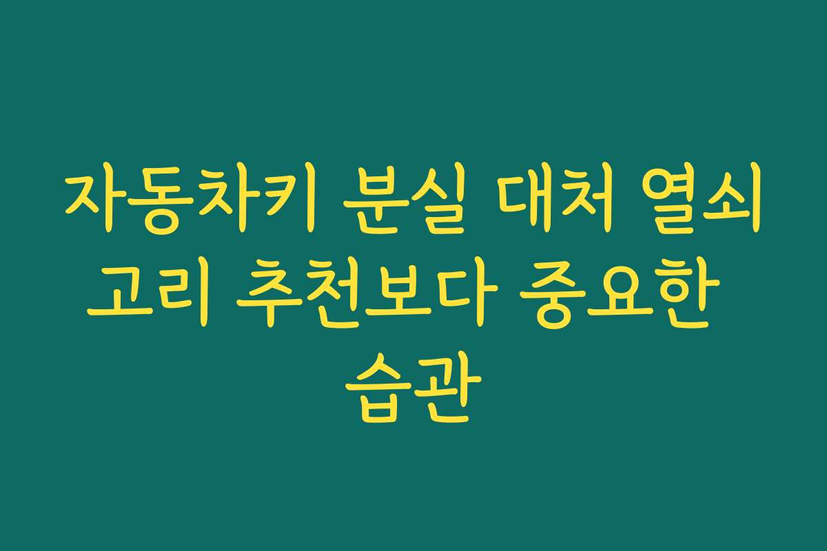 자동차키 분실 대처 열쇠고리 추천보다 중요한 습관