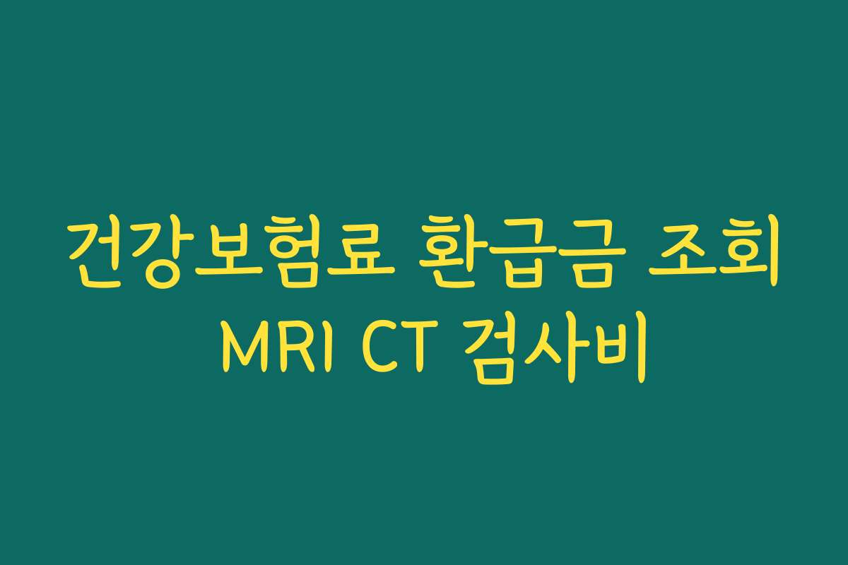 건강보험료 환급금 조회 MRI CT 검사비